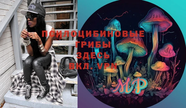 ГАЛЛЮЦИНОГЕННЫЕ ГРИБЫ Абдулино