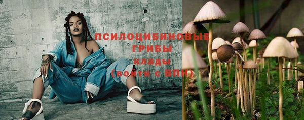 apvp Абинск