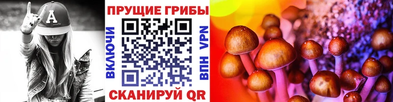 blacksprut как войти  Козловка  Галлюциногенные грибы мицелий 